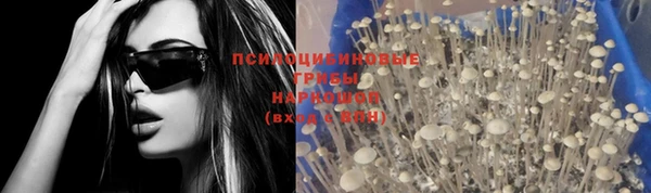 бутират Горно-Алтайск