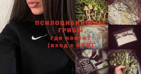 гидра Вяземский