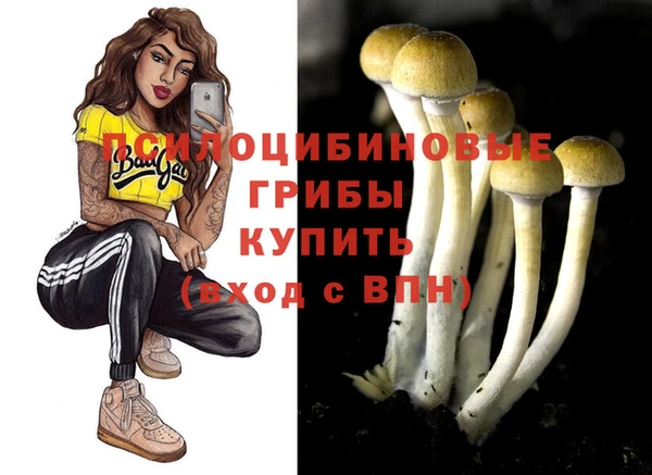 бутират Горно-Алтайск