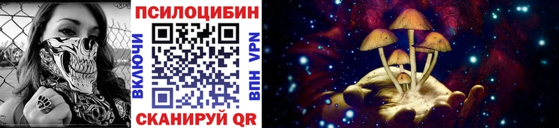 Галлюциногенные грибы Cubensis  Купить где  Луховицы 